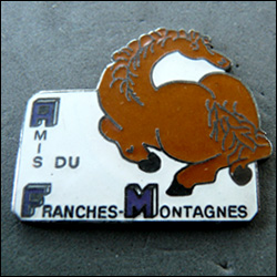 Amis du franches montagnes