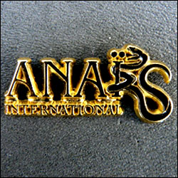 Anais international