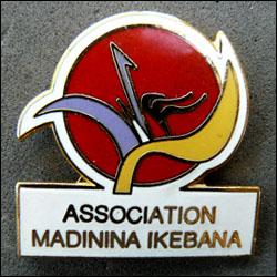 Association madinina ikebana 250