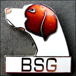 Bsg 250