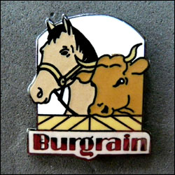 Burgrain