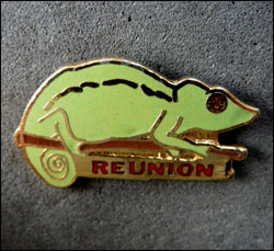 Cameleon reunion