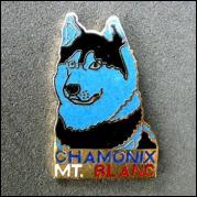 Chamonix mt blanc husky