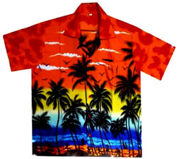 Chemise hawaienne 2