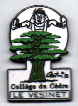 College du cedre le vesinet