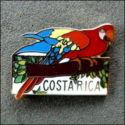 Costa rica parrot 250