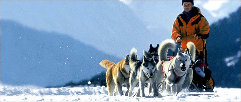 Courchevel mushing 1