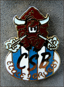 Csb ecole de rugby