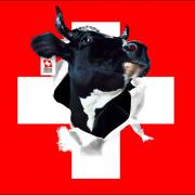 Drapeau suisse