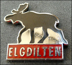 Elgdilten