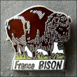 France bison