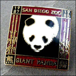 Giant panda san diego zoo 250