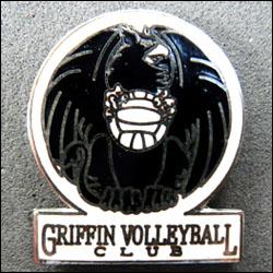 Grffin volleyball 250