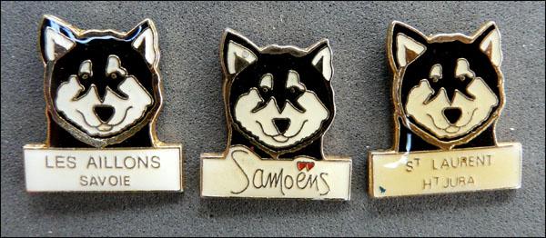 Huskies epoxy 1