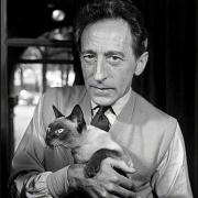 Jean cocteau et son chat