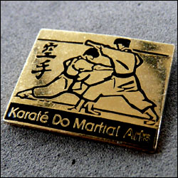 Karate do martial arts