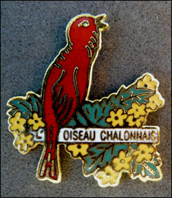 L oiseau chalonnais