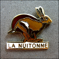 La nuitonne