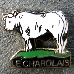 Le charolais