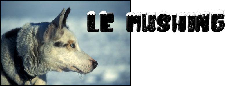 Le mushing titre