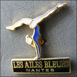 Les ailes bleus nantes