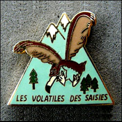 Les volatiles des saisies 1