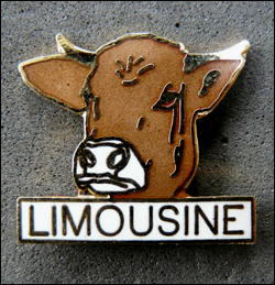 Limousine