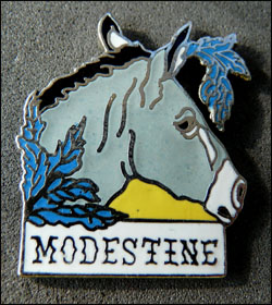 Modestine