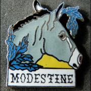 Modestine