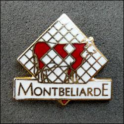 Montbeliarde 250