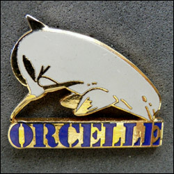 Orcelle