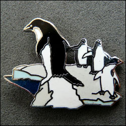 Pingouins d m 250