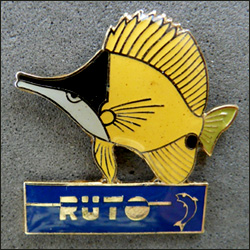 Ruto 1