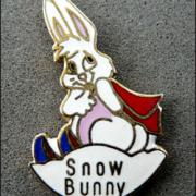 Snow bunny 1