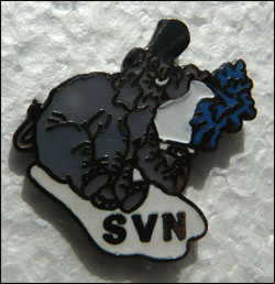 Svn