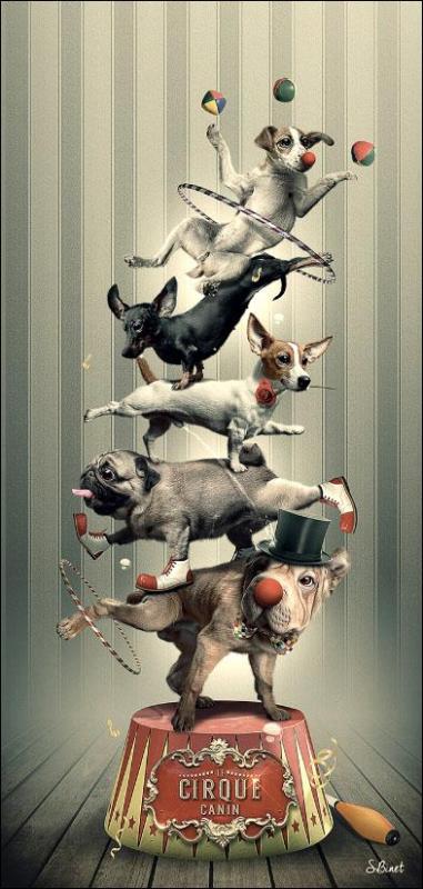 Sylvain binet