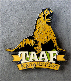 Taaf 24