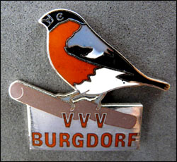 Vvv burgdorf