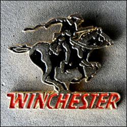 Winchester 250