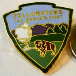 Yellowstone buffalo 2 250