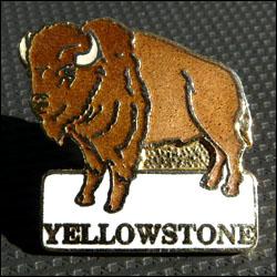 Yellowstone buffalo 4 250