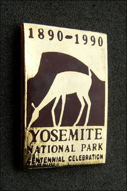 Yosemite national park 2