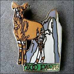 Zoo paris 250 3